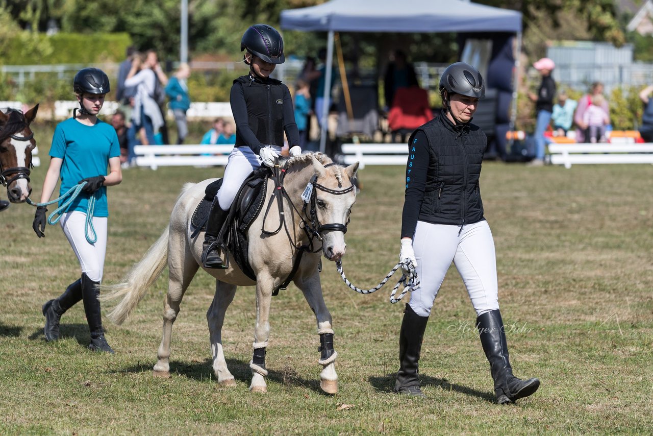 Bild 4 - Pony Akademie Turnier